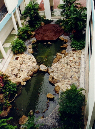 the pond